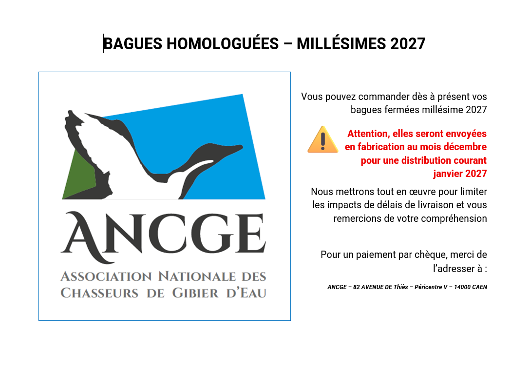 Les bagues